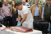 2018_05_ronqueo_1280_100