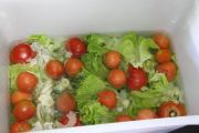 comida_sambla_007