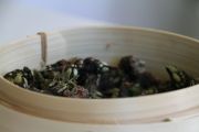 comida_sambla_049