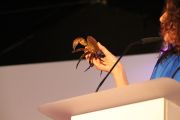 IMG_8979