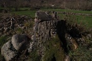 2020_02_selores_mulecarajonero_038
