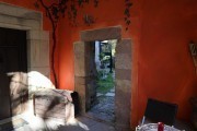 2020_02_selores_mulecarajonero_042