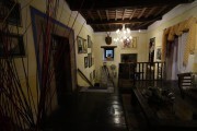 2020_02_selores_mulecarajonero_052