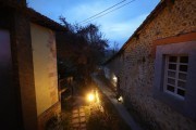 2020_02_selores_mulecarajonero_057
