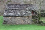 IMG_1191