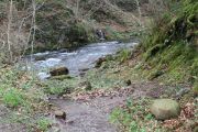 IMG_1197