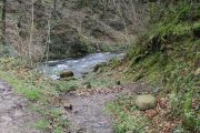 IMG_1198