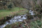 IMG_1029