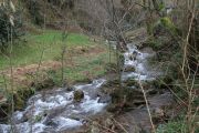 IMG_1030