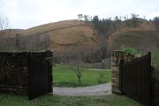 IMG_1032