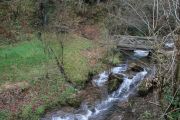 IMG_1033