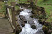 IMG_1052