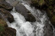 IMG_1054