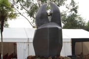 2014_necora_noja_001