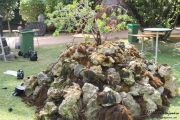 2014_necora_noja_004