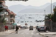 2014_necora_noja_007