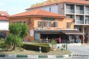 2014_necora_noja_005