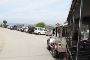 2014_necora_noja_008