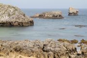 2014_necora_noja_009