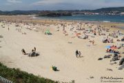 2014_necora_noja_010