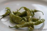 2014_necora_noja_022