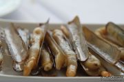 2014_necora_noja_025