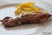 2014_necora_noja_028
