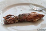 2014_necora_noja_029