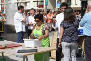 2014_necora_noja_036