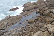 loredo_016