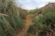 loredo_021