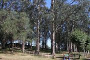 pontejos_I_016