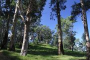 pontejos_I_017