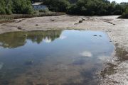 pontejos_I_021