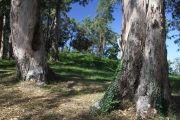 pontejos_I_023