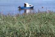 pontejos_I_025