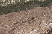 IMG_8053