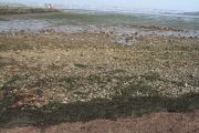 IMG_8055