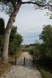 IMG_8078