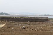 IMG_8194
