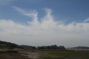 IMG_8212