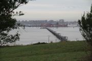 IMG_8895