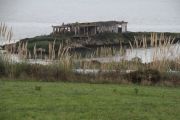 IMG_8903