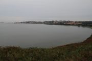 IMG_8918