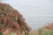 IMG_8928