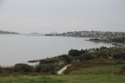 IMG_8953