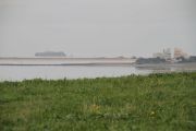 IMG_8955