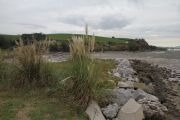 IMG_9008
