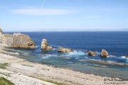arnia_urros_001