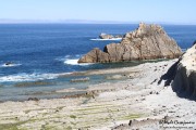 arnia_urros_002